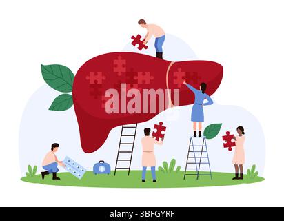 Vector illustration of tiny people using puzzle pieces to maintain liver health, focusing on medical care, treatment, liver wellness, and healthcare intervention. Stock Vector