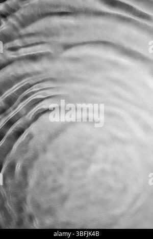 Water surface creating concentric ripples in monochrome Stock Photo