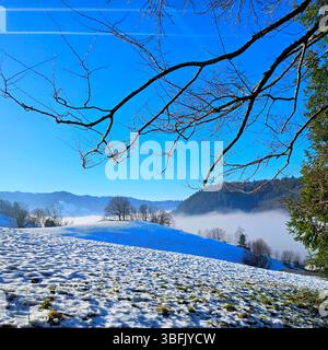 snowy winter landscape with morning mist in the valley Stock Photo