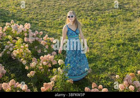 Beautiful happy woman in a sundress cheerfully spins near blooming hydrangeas on a sunny day. enjoying nature and walks in the open air. Summer, joy, Stock Photo