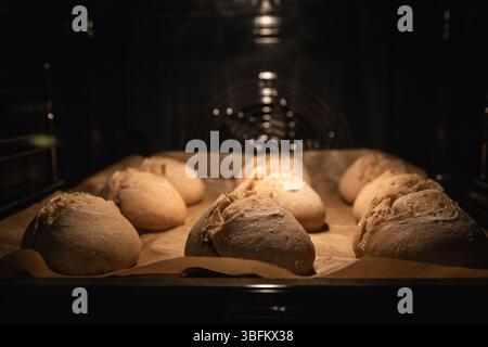 Close-up of rustic sourdough rolls on baking paper in the oven, beautifully risen with golden crusts. Warm kitchen atmosphere during baking. Stock Photo