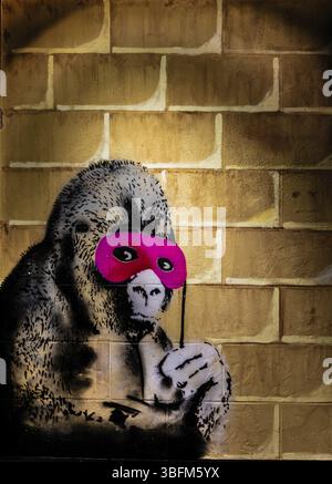 banksy-gorilla-in-a-pink-mask-