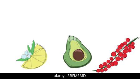 Minimal vector layout showing three fruits avocado, citrus wedge, and a sprig of red berries on a white background. Stock Vector