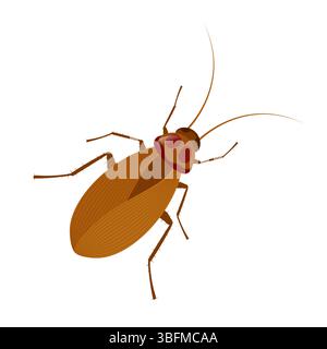 American cockroach with long antennae and spiny legs crawling, representing a common household pest known for spreading diseases and triggering disgus Stock Vector