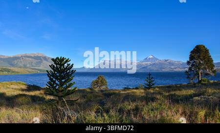 lago huechulafquen and peak of lanin volcano at lanin national park, patagonia, argentina Stock Photo