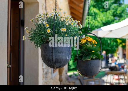 View of two hanging flower pots with bushes of various blooming flowers on the veranda of a house Stock Photo