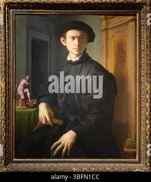 Portrait of a Young Man with a Lute, Bronzino, Agnolo, 1532 Stock Photo ...