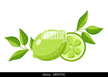 Bright Lime with Green Leaf and Slice, Flat style Stock Vector