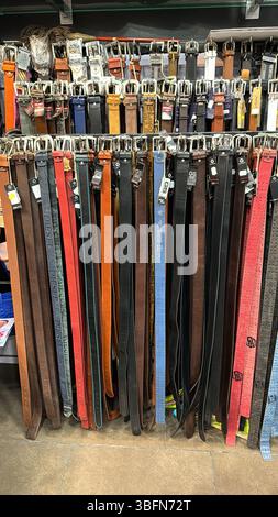 BARCELONA, SPAIN- MAY, 28, 2024: A variety of colorful leather belts neatly arranged on shelves in a retail store Stock Photo