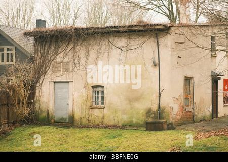 Old abandoned building with weathered plaster walls, exposed brickwork, and climbing vines. Stock Photo