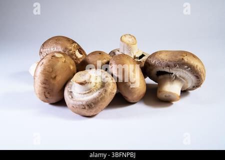 Fresh chestnut mushrooms arranged on a clean white background. Stock Photo