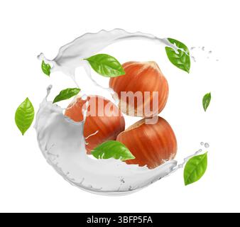 Nut milk splash with hazelnuts and green leaves in air on white background Stock Photo
