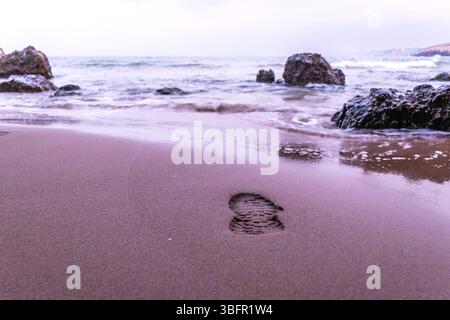 Footprints in the sand on the seashore Stock Photo