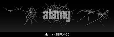 Halloween old spooky cobweb with various sizes and shapes. Stock Vector