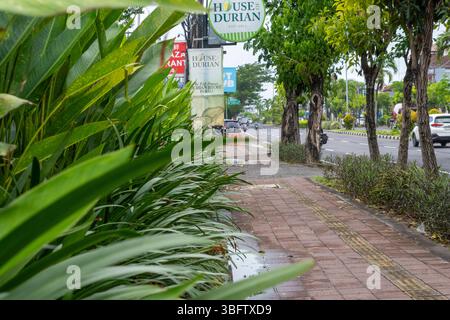 Bali, Indonesia - Dec 10, 2024: Street with a sign for House Durian. The street is lined with trees and bushes. The leaves are green Stock Photo