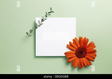 White memo pad, blank paper with orange gerbera daisy flower and eucalyptus leaf on green background. flat lay, top view, copy space Stock Photo