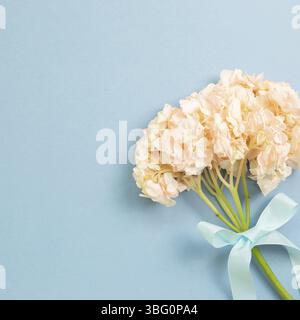 Fresh pink hydrangea flower on blue background. Floral composition, top view, copy space Stock Photo