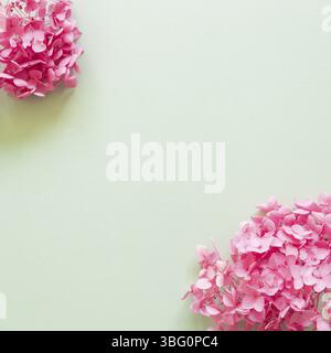 Dry pink hydrangea flowers on mint green background. flat lay, top view, copy space Stock Photo
