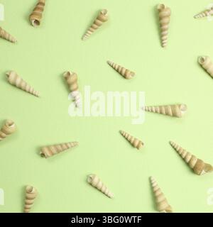 Marine decoration conch seashells on green background Stock Photo