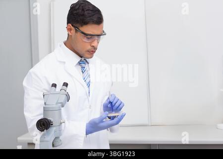 South Asian male scientist wearing gloves using pipette on Petri dish near microscope, copy space Stock Photo