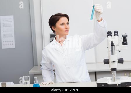 Female scientist in lab coat examining blue liquid in test tube at bench with glassware, microscope Stock Photo