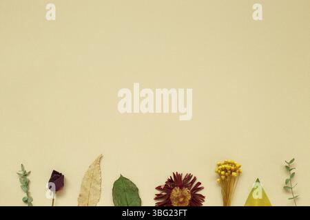 Dry flowers and leaves on beige background. Floral composition, flat lay, top view, copy space Stock Photo