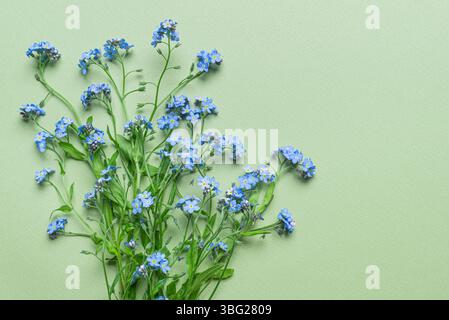 Blue wild flowers forget-me-not on green background, creative flat lay, copy space. Invitation card design,  wallpaper, spring print. Stock Photo