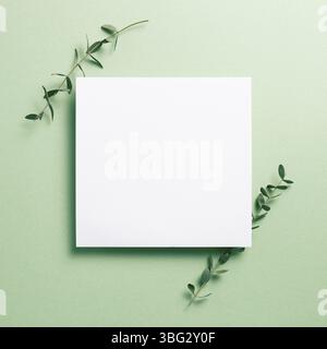 White memo pad, blank paper with eucalyptus leaves on green background. top view, copy space Stock Photo