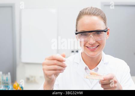 Female scientist in lab coat pipetting liquid into petri dish by reagent bottles, cabinets at bench Stock Photo