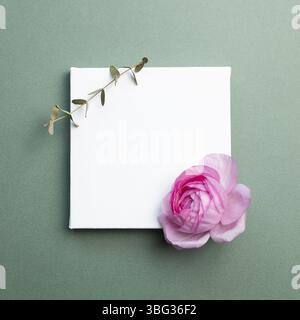 Empty canvas with eucalyptus leaf and ranunculus flower on green background. top view, copy space Stock Photo