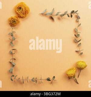 Dry ranunculus flowers and eucalyptus leaf frame on orange background. flat lay, top view, copy space Stock Photo