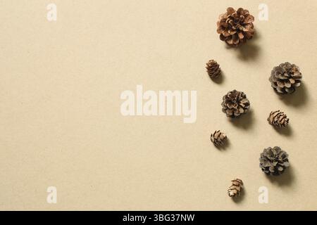 Pine cones on brown background. Autumn concept Stock Photo