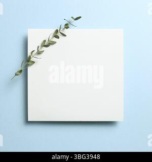 White memo pad, empty paper with eucalyptus leaves on sky blue background. top view, copy space Stock Photo
