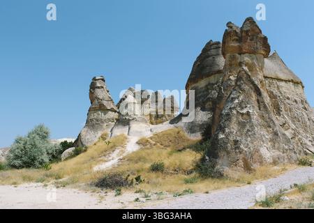 Pasabag valley Mushroom shaped rock formation, fairy chimneys in ...