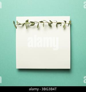 White memo pad, empty paper with eucalyptus leaves on mint green background. top view, copy space Stock Photo