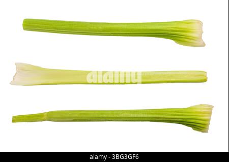 Fresh uncooked celery sticks isolated on white background, top view. Stock Photo