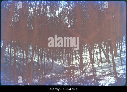 Blendon Woods in the winter of 1959, showcasing the trail through the woods with snow-covered trees and a serene winter landscape. Stock Photo