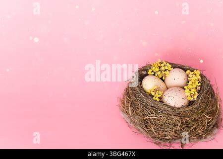 Minimal shot of bird nest with easter eggs and yellow flowers on pink background Stock Photo