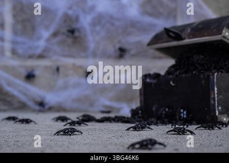 Spider web and spiders crawling out of old black chest Stock Photo
