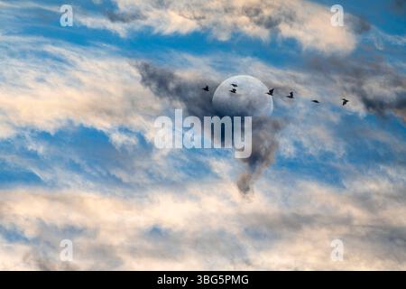 A Flock Of Birds Fly By The Moon Against A Detailed Colorful Cloudscape Stock Photo
