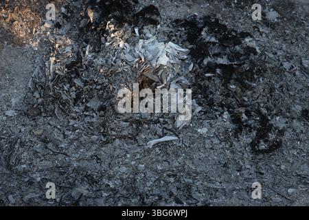 Burned Ashes and Charred Debris Close-Up, Grunge Background Stock Photo