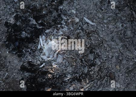 Burned Ashes and Charred Debris Close-Up, Grunge Background Stock Photo