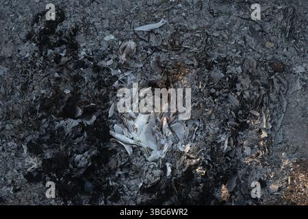 Burned Ashes and Charred Debris Close-Up, Grunge Background Stock Photo
