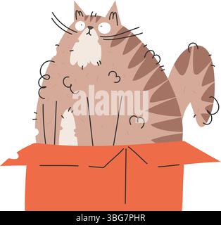 An adorable and funny illustration of a fluffy, striped cat sitting comfortably inside a bright orange cardboard box, looking up with a surprised expr Stock Vector