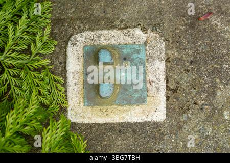 New Zealand's first standard chain mark placed at Wellington's