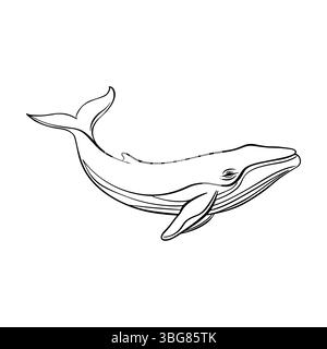 Outline while icon. Realistic sketch, minimal animal doodle. Line art, vector logo design Stock Vector