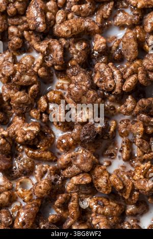 Sweet Dark Chocolate Breakfast Cereal with Whole Milk Stock Photo