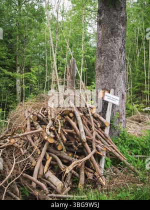 Trimmed and stacked undergrowth after a forest clearance in Allgaeu, Bavaria Stock Photo