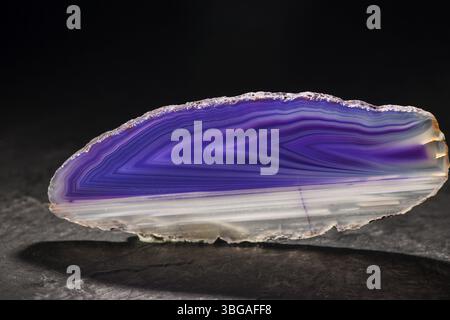 Studio shot of an elongated, thin and polished agate slice in the front light with purple and white stripes standing on a slate plate against a black Stock Photo