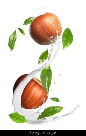 Nut milk splash with hazelnuts and green leaves in air on white background Stock Photo